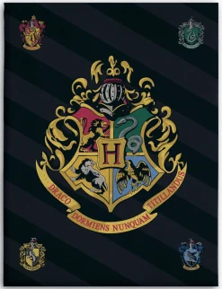 Børnetæppe - Harry Potter - 100x140 cm - Blødt og lækkert Fleece tæppe - Borg Living