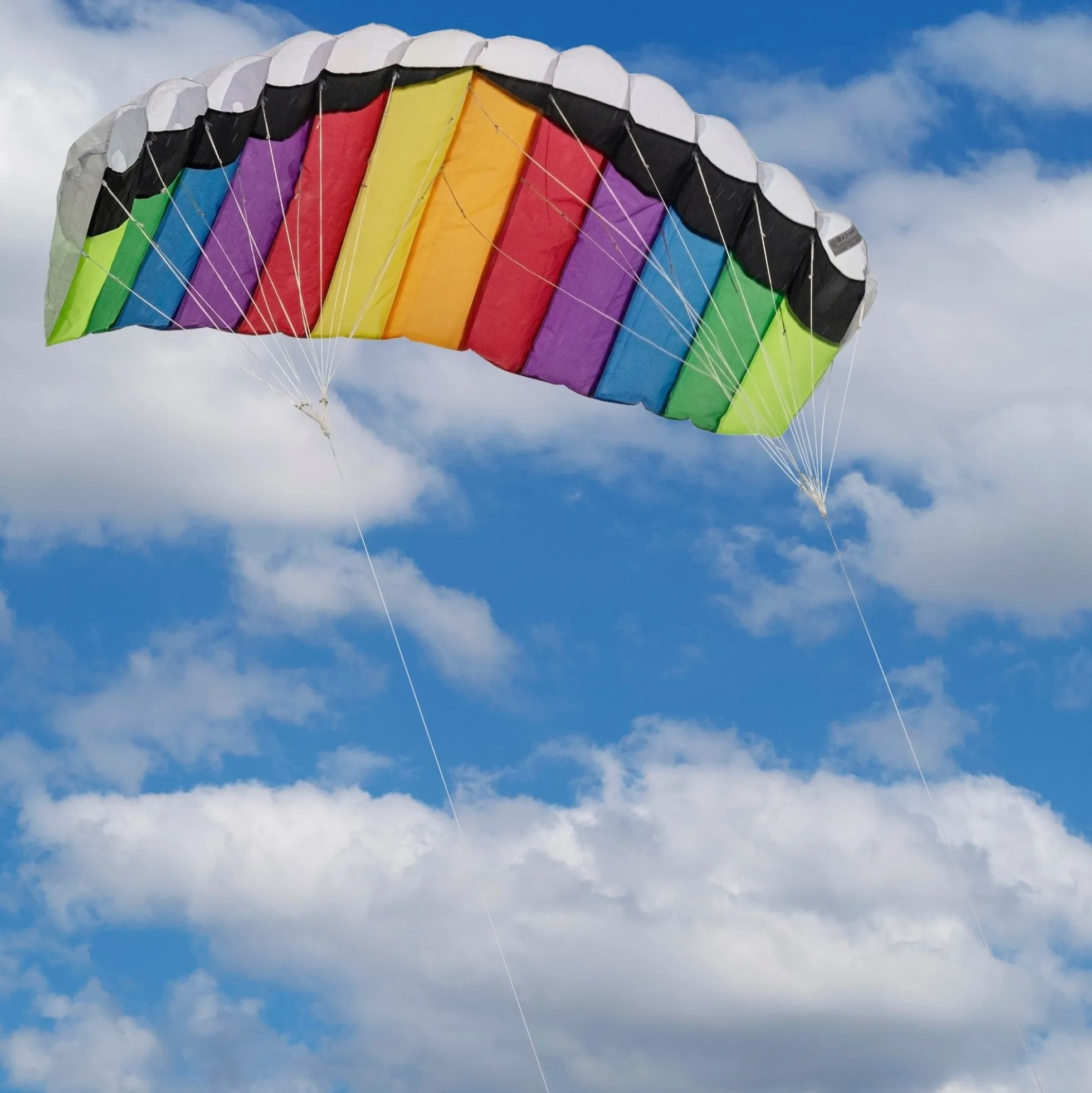 Drage flyvning - Paragliderdrage - 160x60 cm