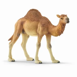 Dromedar - 14832 - Schleich Wild Life