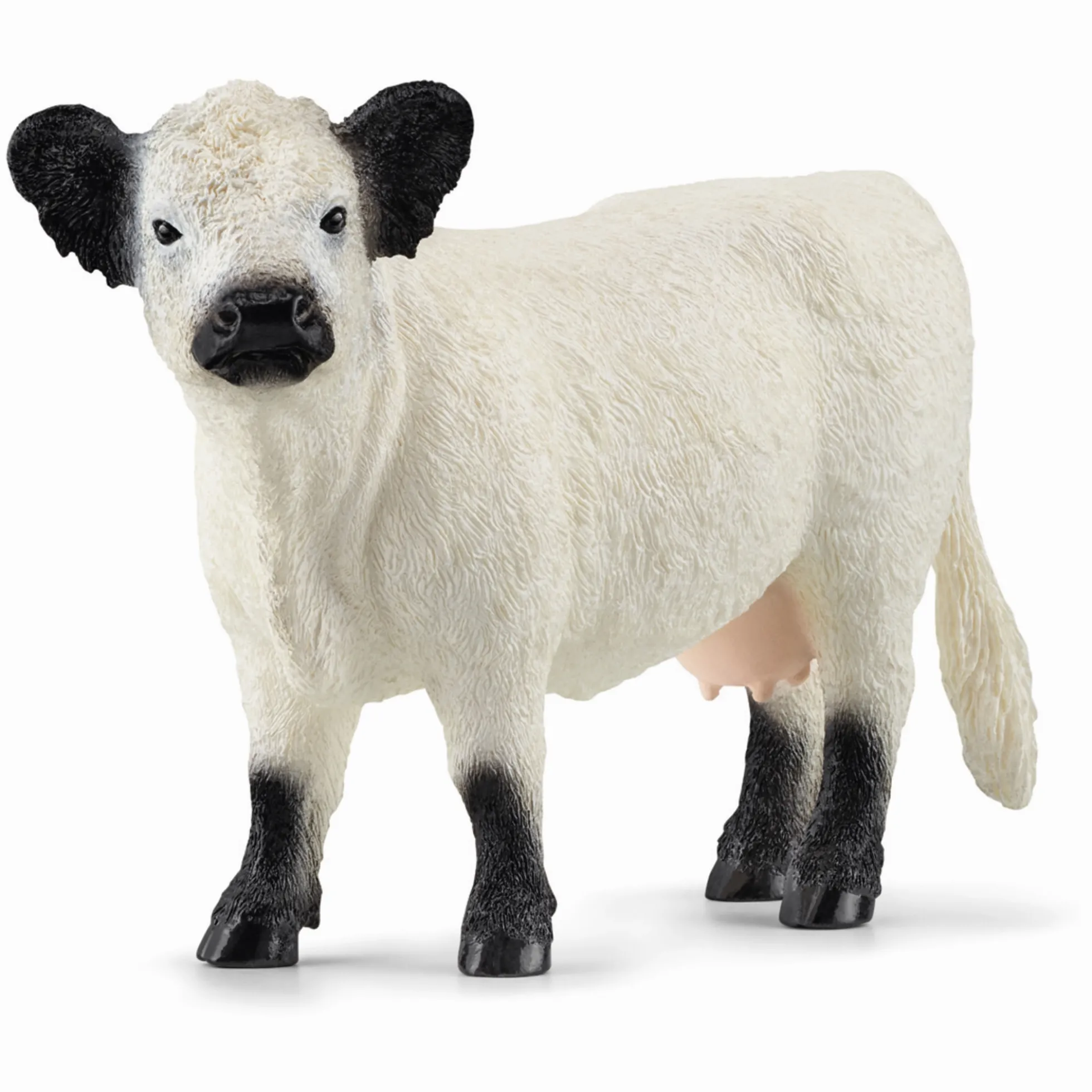 Galloway Ko - 13960 - Schleich Farm World