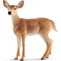 Hvidhalet hind - 14819 - Schleich Wild Life