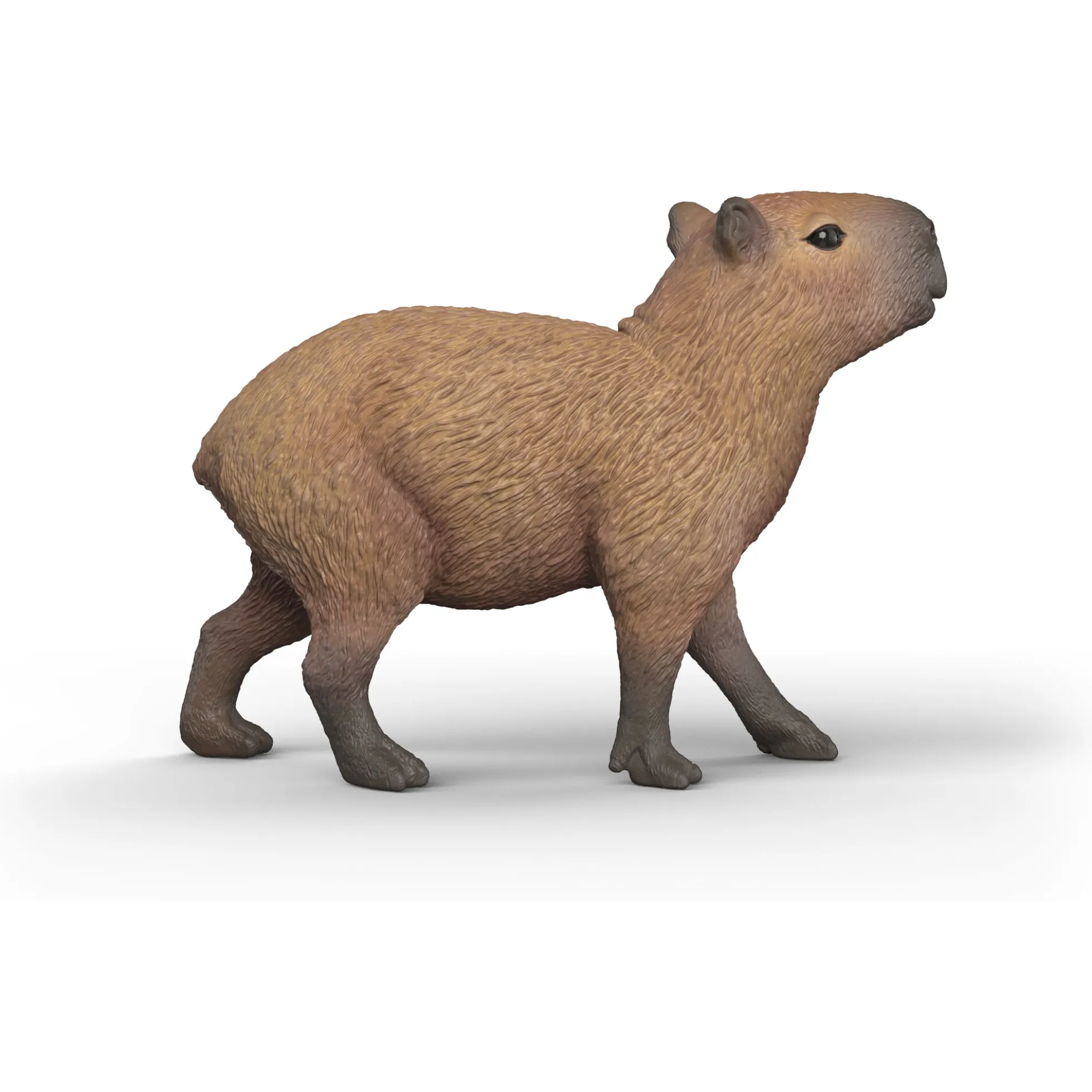 Kapivar - 14934 - Schleich Wild Life