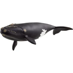 Nordatlantisk rethval - 14878 - Schleich Wild Life