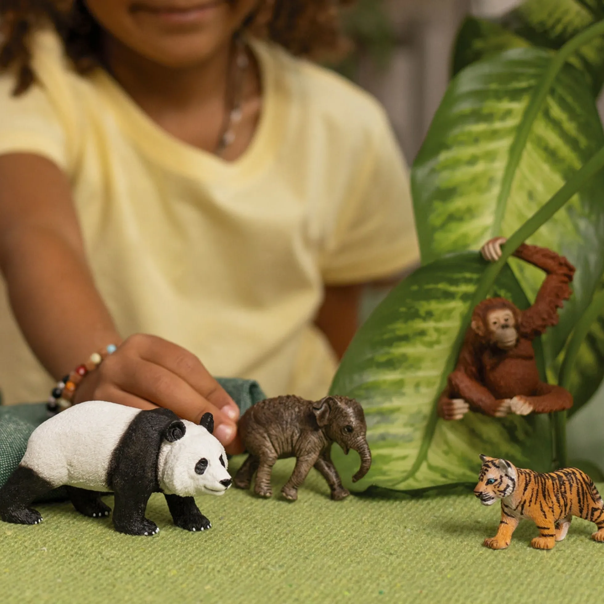 Samlerføl Darcy - 81460 - Schleich Horse Club